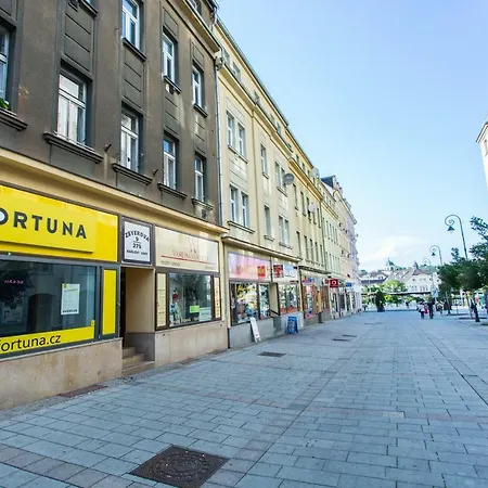 Apartman Zeyerova 9 Apartment Karlsbad